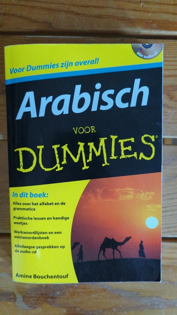 Amine Bouchentouf - Arabisch voor Dummies, Ophalen of Verzenden, Zo goed als nieuw, Amine Bouchentouf