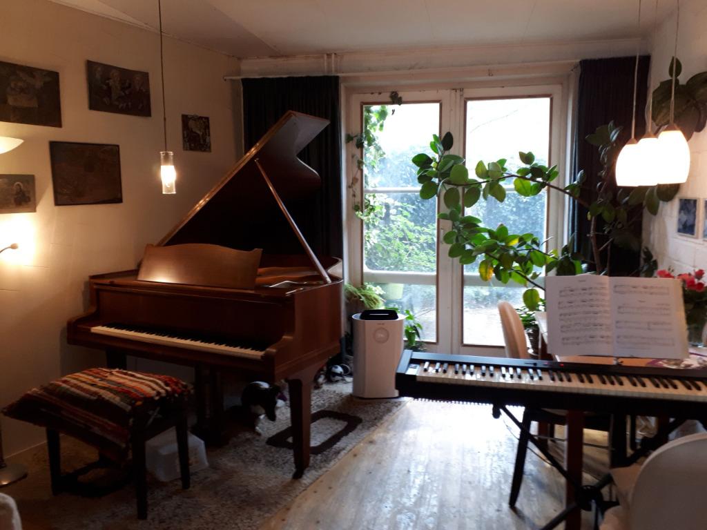 Pianolessen in Tilburg, Diensten en Vakmensen, Muziekles en Zangles, Privéles, Toetsinstrumenten