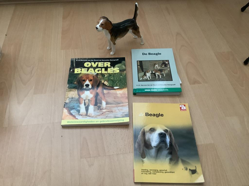 Beagle beeldje en boeken, Ophalen of Verzenden, Zo goed als nieuw