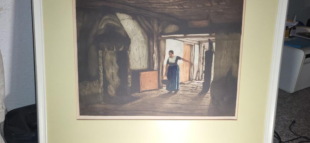 Kleurenets Het Boerendeel van Tjeerd Bottema., Ophalen of Verzenden