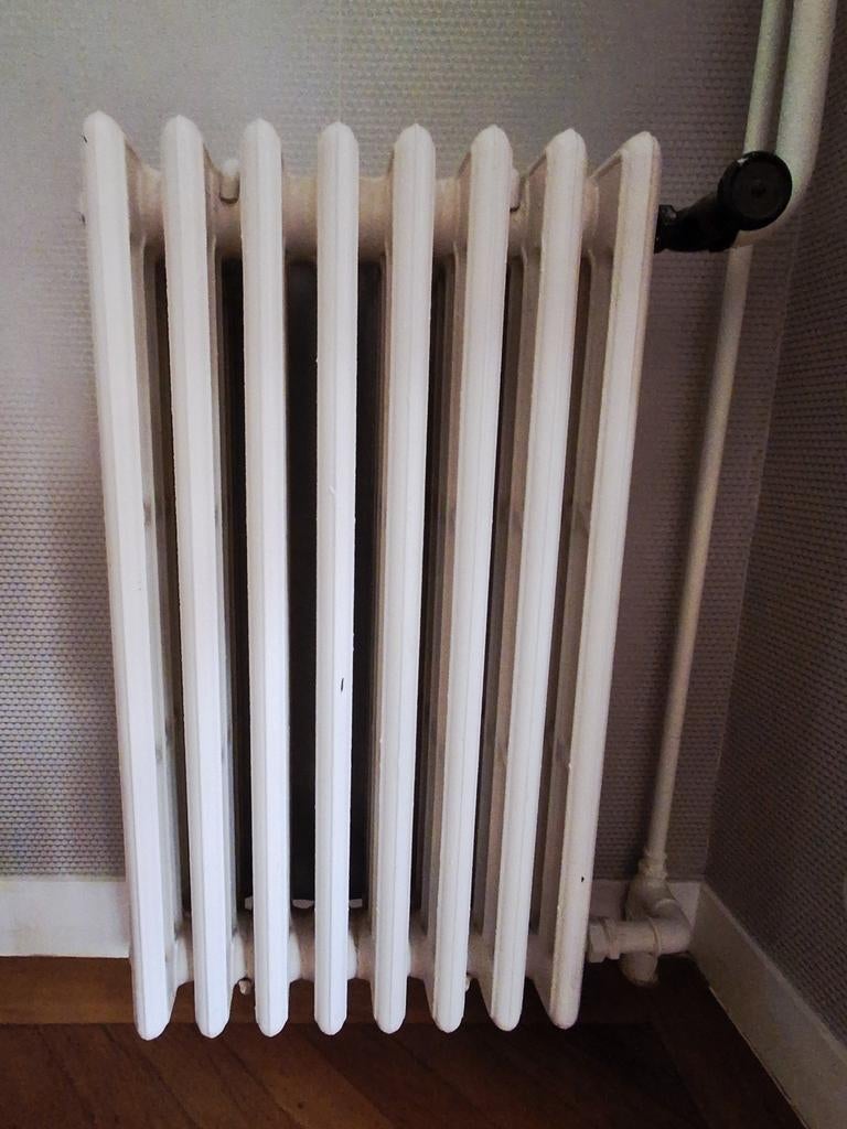 Gietijzeren vintage kolomradiator, 50x90cm, Doe-het-zelf en Verbouw, Radiator, Minder dan 60 cm, Ophalen of Verzenden, 80 cm of meer