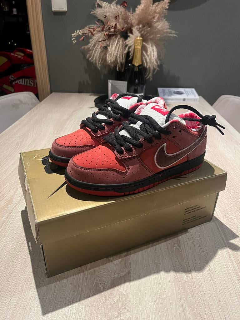 NIKE SB dunk red lobster NIEUW ORIGINEEL maat 40, Ophalen of Verzenden, Zo goed als nieuw, Overige kleuren