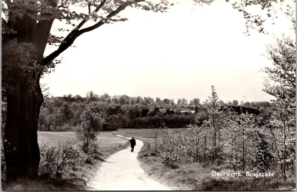 Doorwerth - Bosgezicht, Verzenden, 1960 tot 1980, Ongelopen, Gelderland