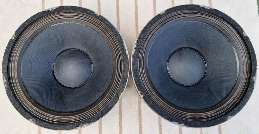 Electro voice ev evm 12s, Overige merken, Ophalen of Verzenden, Zo goed als nieuw, 120 watt of meer