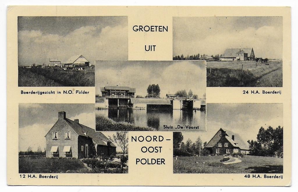 Noord Oost Polder    Ansichtkaart uit 1954  ( B7760), Verzenden, 1940 tot 1960, Gelopen, Zeeland