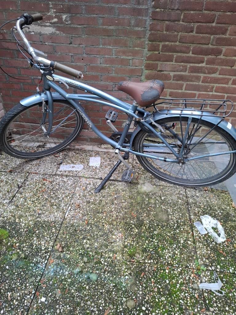 Fiets, Ophalen of Verzenden, Gebruikt, Staal