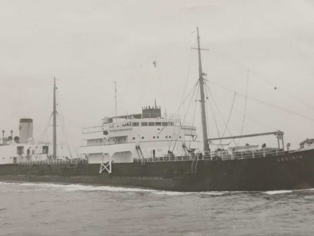 Fotograaf W.Haig.Parry Middlesbrough jaren 40-60, Gebruikt, ., Kaart, Foto of Prent, Ophalen of Verzenden