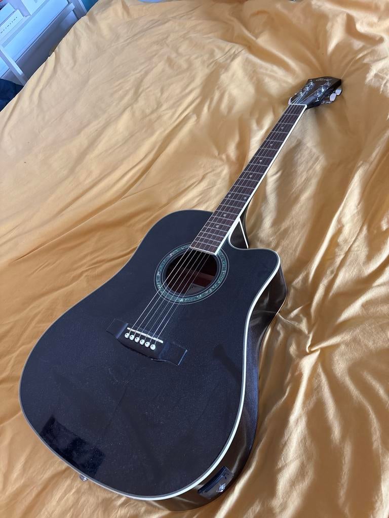 Farley jazz gitaar, Ophalen of Verzenden, Gebruikt, Western- of Steelstringgitaar, Met (piezo-)element