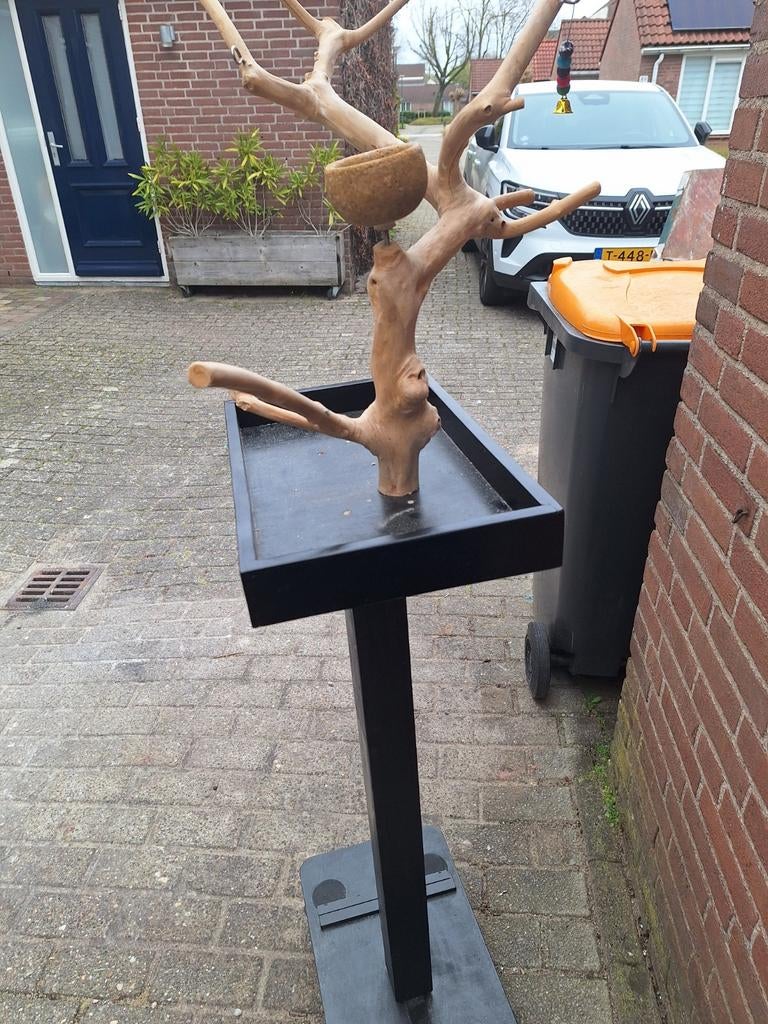 Java boom, Ophalen of Verzenden