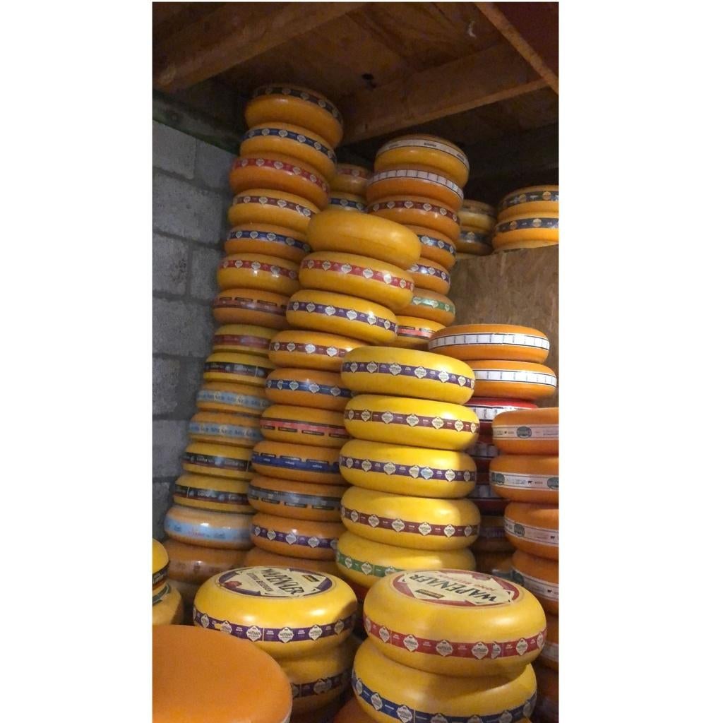 Kaasdummie kanterkaas - goudse kaas - 35 cm - dummiekaas, Ophalen, HorecaBeelden, Overige typen, Nieuw