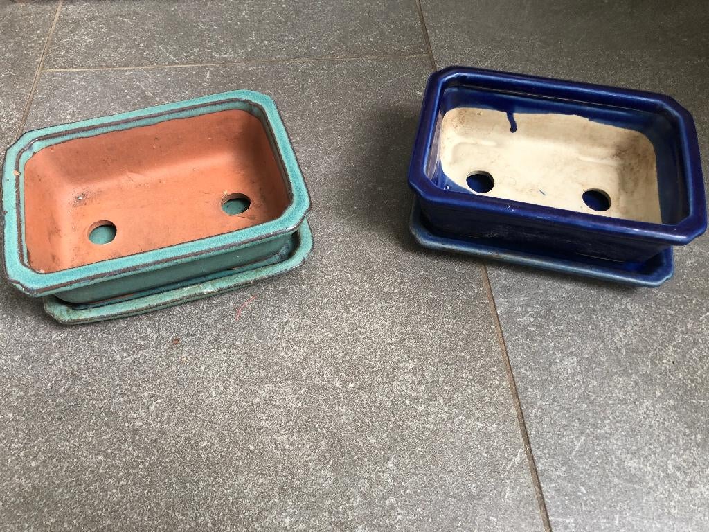 2 Bonsai schaaltjes met schoteltjes, Hobby en Vrije tijd, Ophalen, Gebruikt