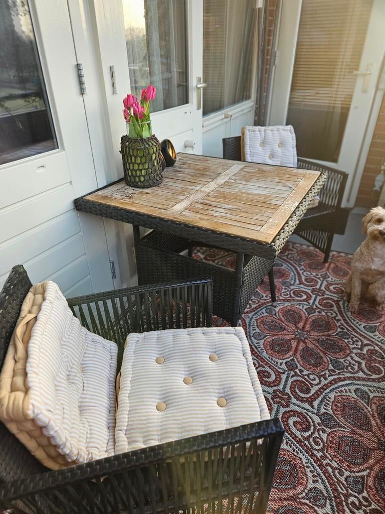 3 DELIGE IZGS.. TUINSET, Ophalen of Verzenden