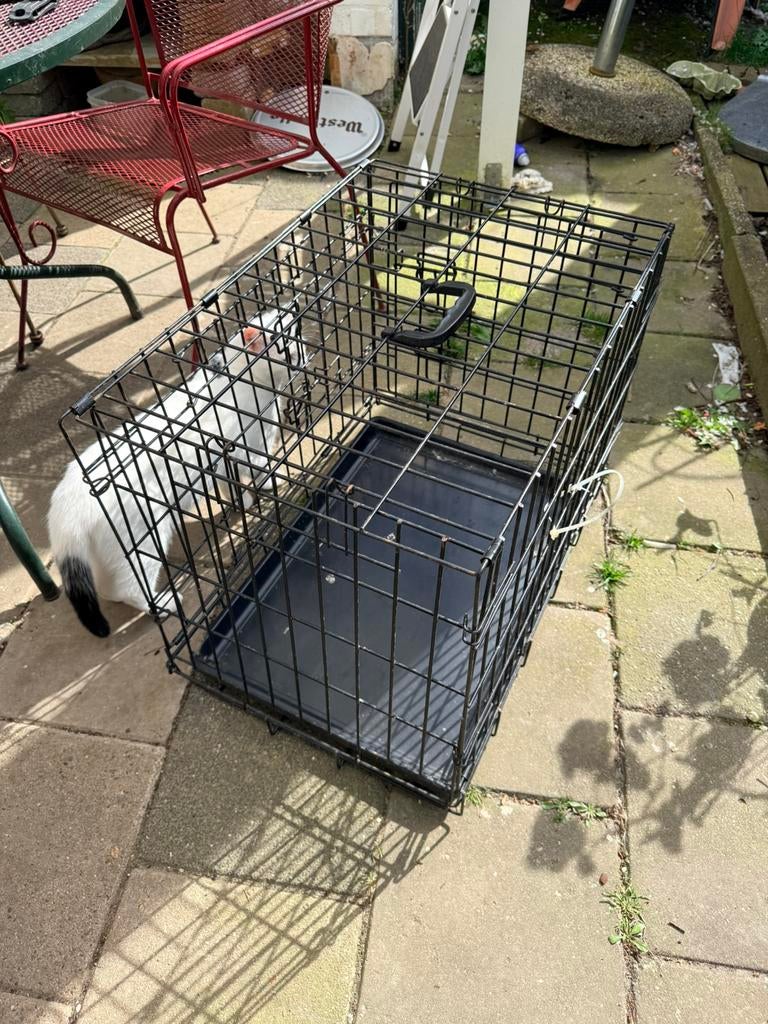 Gratis hondenbench, Dieren en Toebehoren, Ophalen, Zo goed als nieuw, Minder dan 75 cm, Minder dan 65 cm