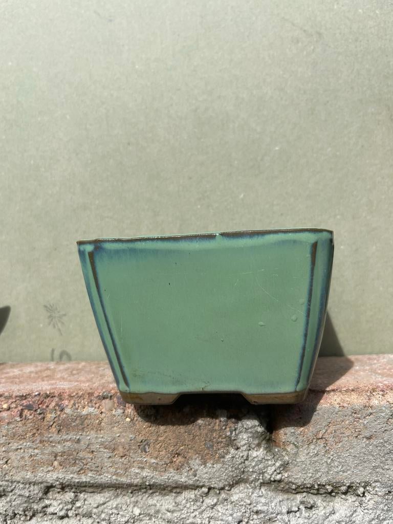 Diverse Bonsai Bakjes - Keramiek en Steen, Overige materialen, Gebruikt, Minder dan 30 cm, Verzenden