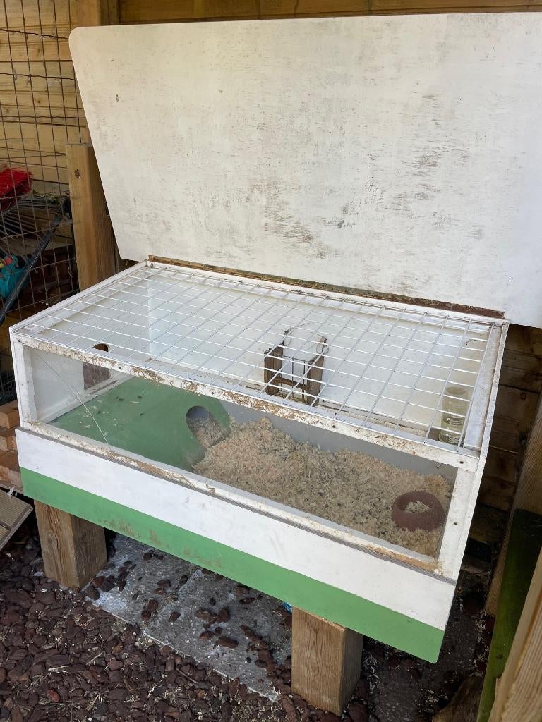 Gratis caviahok, Dieren en Toebehoren, Knaagdieren en Konijnen | Hokken en Kooien, Gebruikt, Hok, 75 tot 110 cm, Cavia