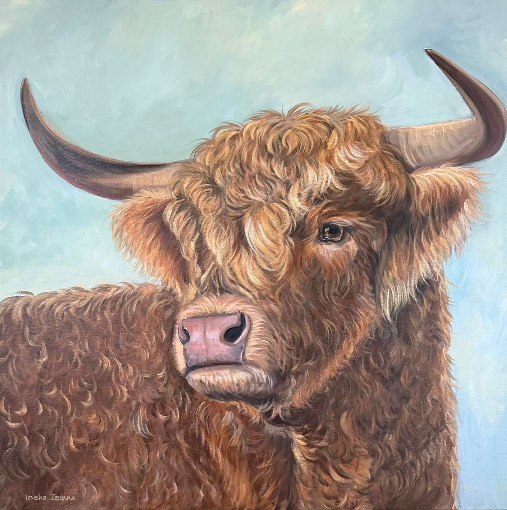 Schilderij schotse hooglander, Ophalen of Verzenden