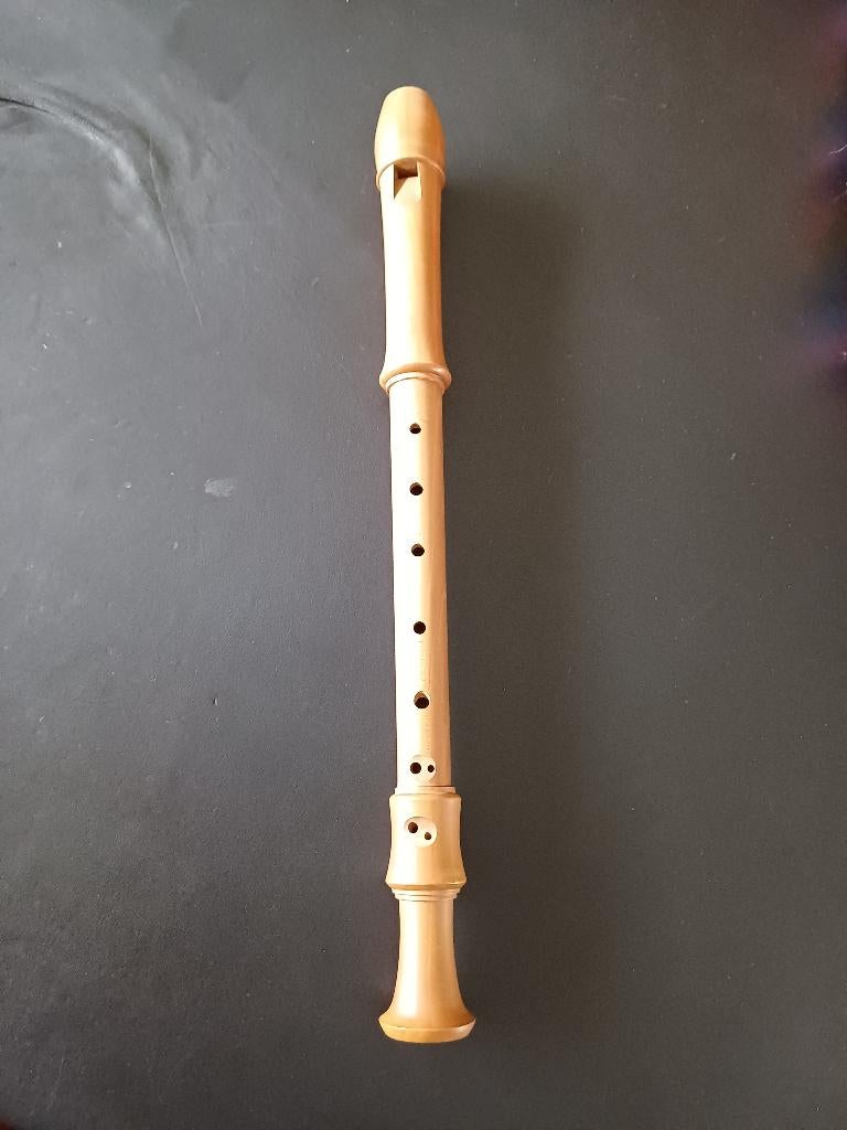 Blokfluit z.g.a.n., Muziek en Instrumenten, Blaasinstrumenten | Blokfluiten, Ophalen of Verzenden, Zo goed als nieuw, Overige typen