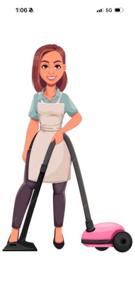 huishoudhulp GEZOCHT!, Overige niveaus, Starter, Overige vormen