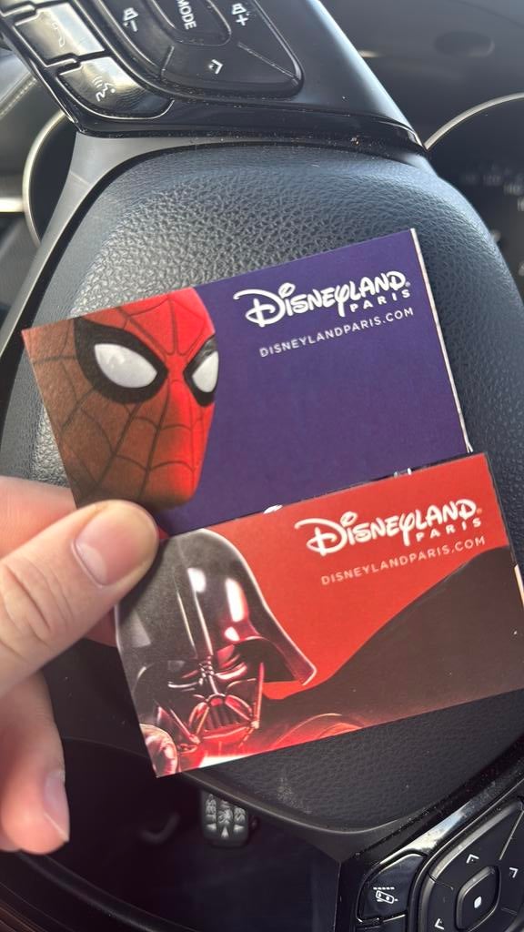2x 3 dagen tickets Disney Land parijs geldig van 2-2 t/m 9-2, Tickets en Kaartjes, Twee personen, Ticket of Toegangskaart