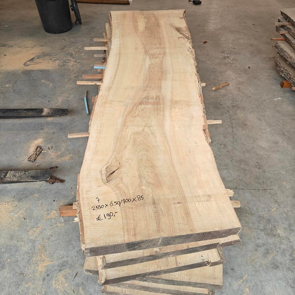 Essen schaaldelen gedroogd. Boomstam tafel of wandplank., Ophalen, Zo goed als nieuw, Plank, Minder dan 200 cm