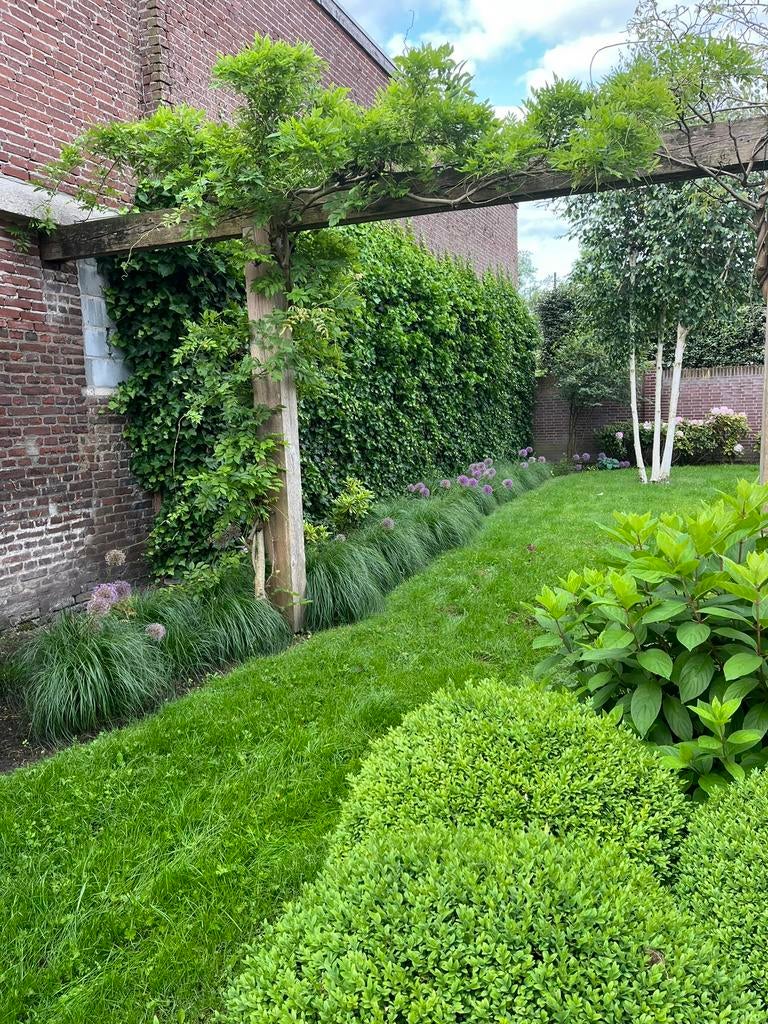 Tuinonderhoud, Sedum plaatsen, Terrein onderhoud, Tuinonderhoud of Snoeiwerk