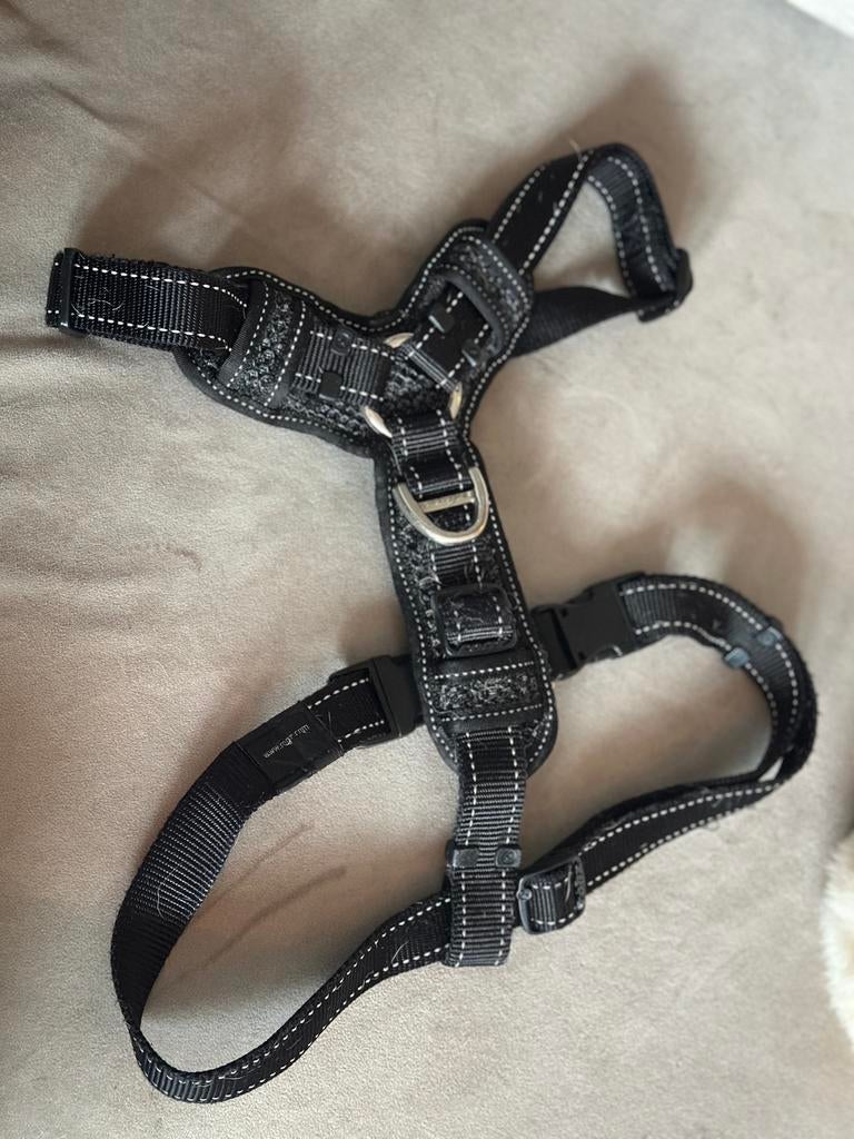 Mooi Rogz Explore hondentuig - maat XL - zgan, Dieren en Toebehoren, Ophalen of Verzenden, Zo goed als nieuw