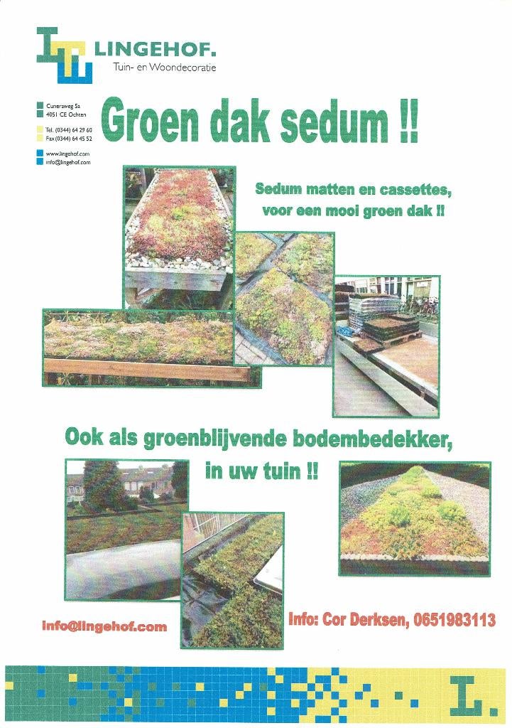 Sedum groendak eenvoudig zelf maken, Tuin en Terras, Planten | Tuinplanten, Vaste plant, Bodembedekkers, Volle zon, Zomer, Ophalen of Verzenden