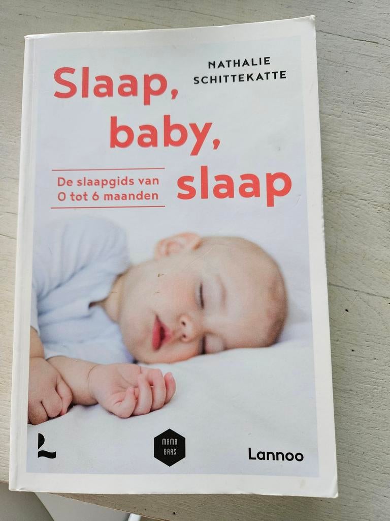 Nathalie Schittekatte - Slaap baby slaap, Boeken, Zwangerschap en Opvoeding, Nathalie Schittekatte; Mama Baas, Ophalen of Verzenden