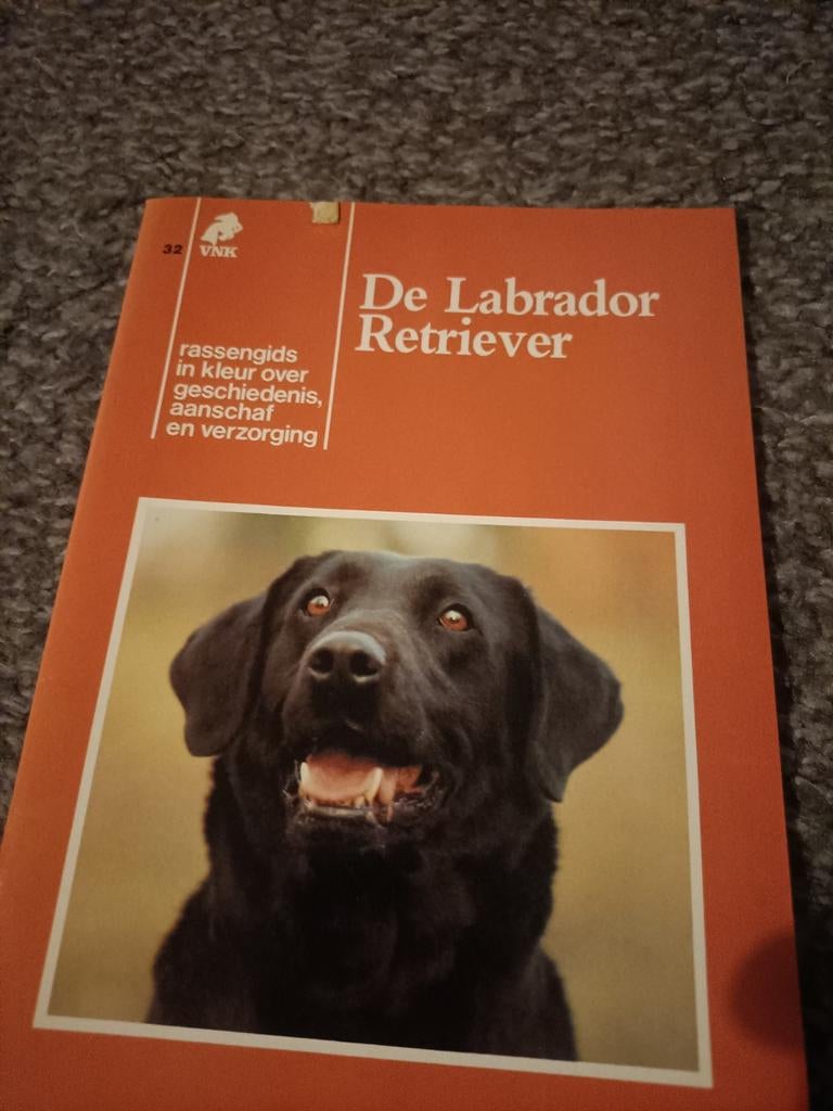 Labrador Retriever Boekje - VNIK Rassengids, Ophalen of Verzenden, Gelezen, Honden, VNIK
