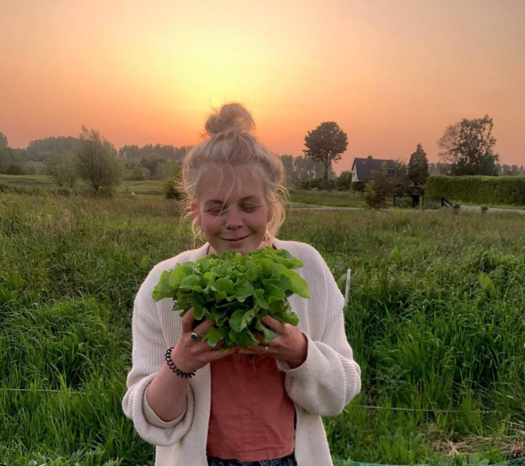 sociale tuinder en pottenbakker zoekt een stukje grond, Zakelijke goederen, Agrarisch | Agrarisch Onroerend goed, Ophalen, 1 tot 5 ha