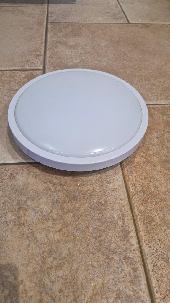 Buitenlamp smart ceiling light, Ophalen, Zo goed als nieuw, Kunststof, Minder dan 50 cm