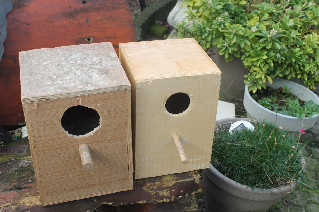 2 broedblokken, Ophalen, Nieuw, Hout, Overige typen