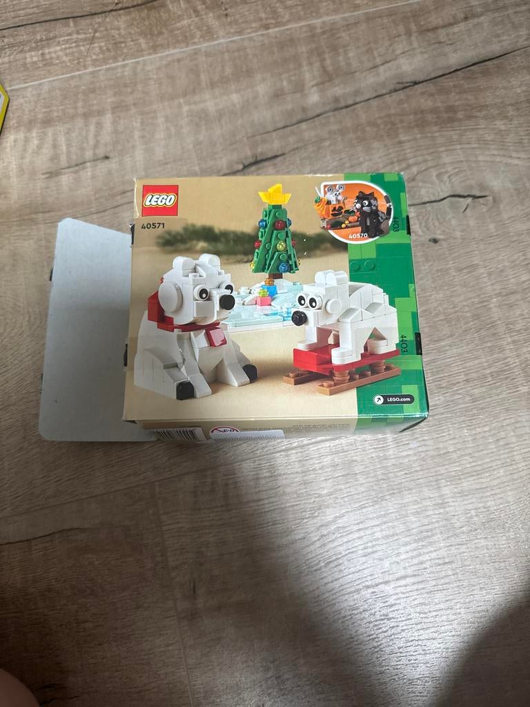 Lego IJsberen Winterpret (40571) - In elkaar gezet, kan uit, Overige thema's, Lego, Ophalen of Verzenden, Zo goed als nieuw