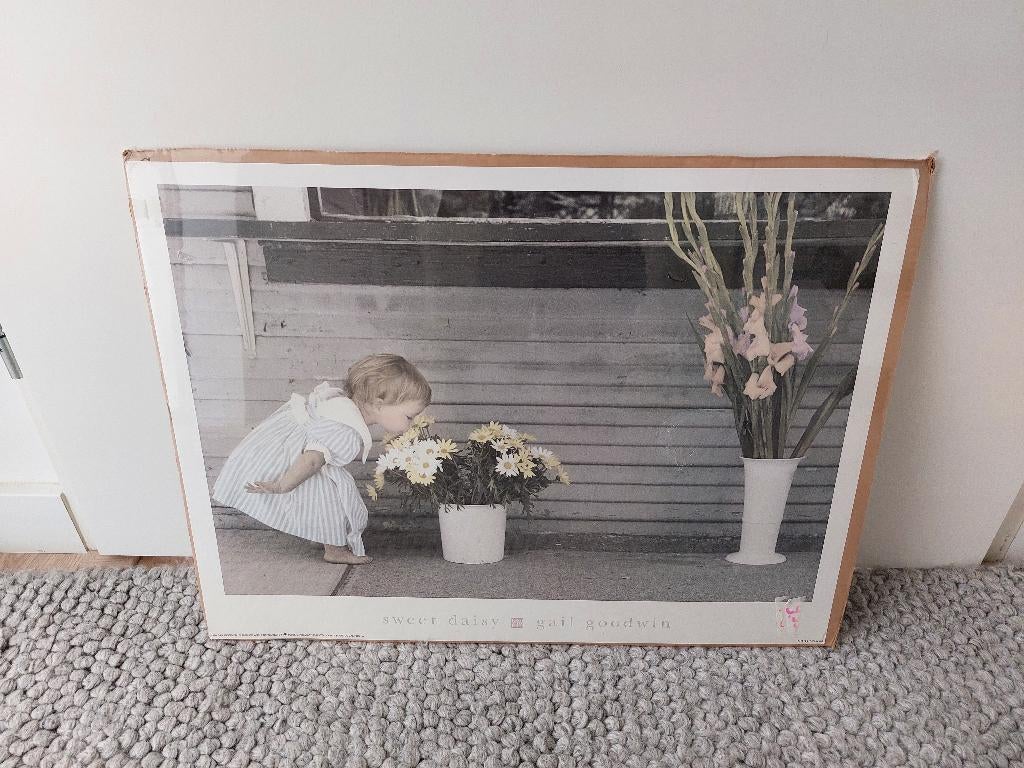 Poster, Ophalen, Zo goed als nieuw, Foto of Poster, Minder dan 50 cm