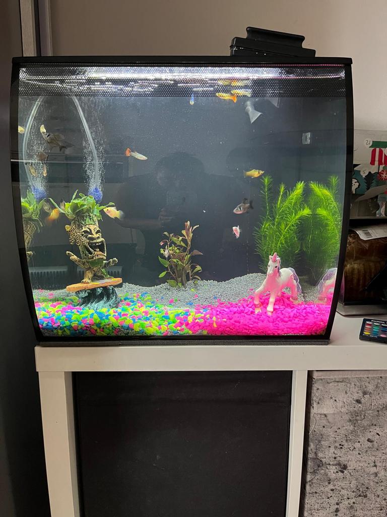 Fluval flex 57L aquarium €75,-, Ophalen, Inclusief deksel, Zo goed als nieuw, Leeg aquarium