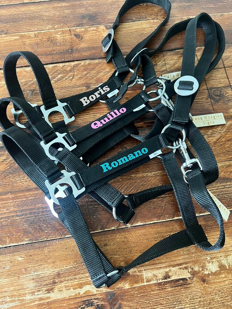 Halsters met naam, Ophalen of Verzenden, Zo goed als nieuw, Overige soorten