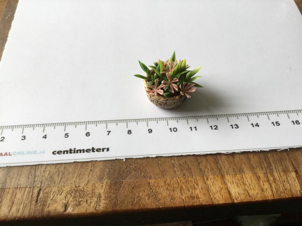 Poppenhuis miniaturen mandje voorjaarsbloemen, Verzamelen, Poppenhuizen en Toebehoren, Ophalen of Verzenden, Nieuw, Poppenhuis