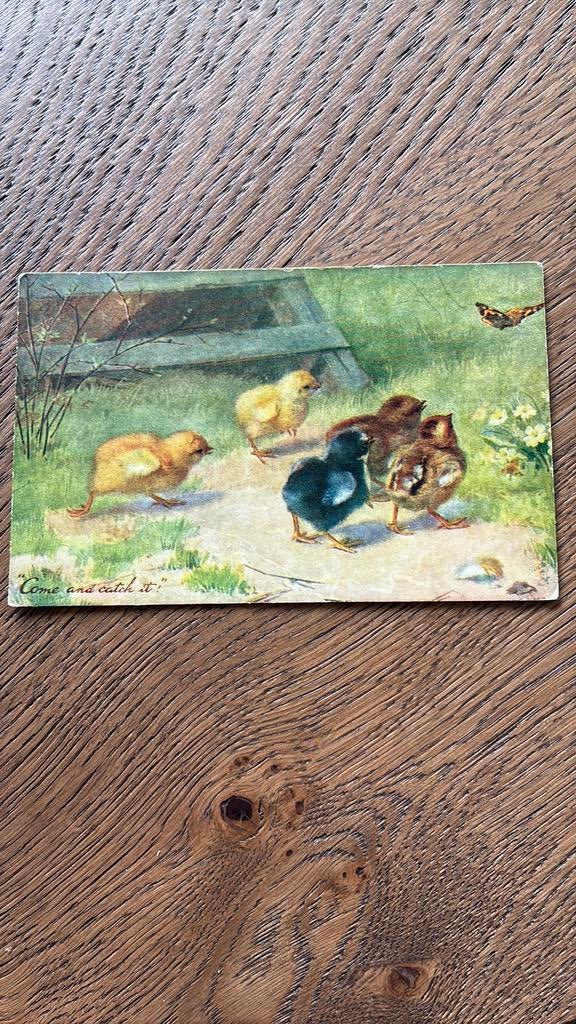 Kom en vang me. Kuikens en vlinder, Ophalen of Verzenden, Voor 1920, Gelopen, Voertuig