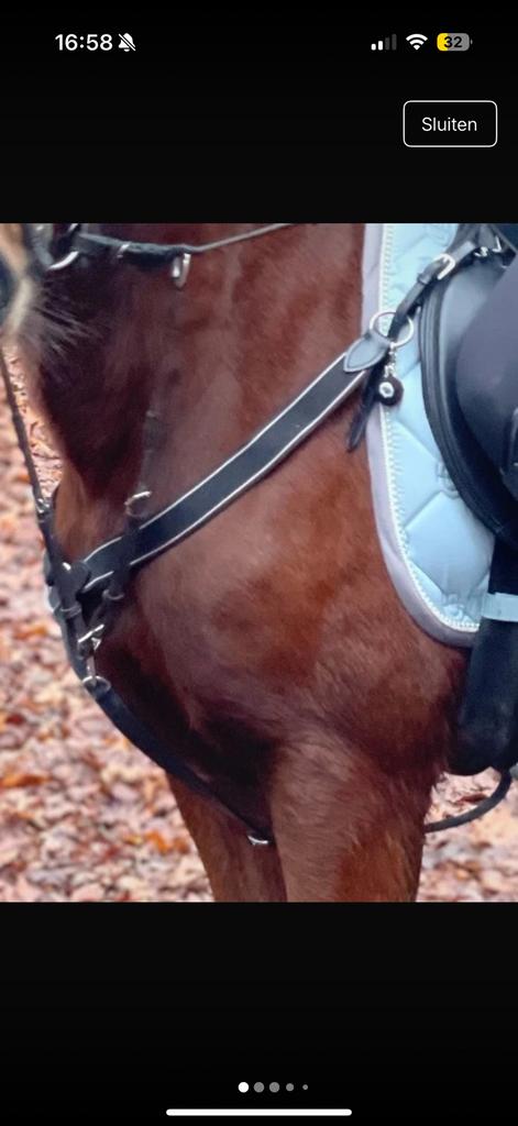 Pony borsttuig, Dieren en Toebehoren, Ophalen of Verzenden, Gebruikt, Overige soorten