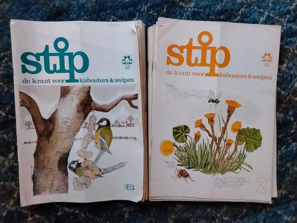 Stip, blad voor kabouters en welpen van Scouting, 1979-1987, Ophalen, Gelezen