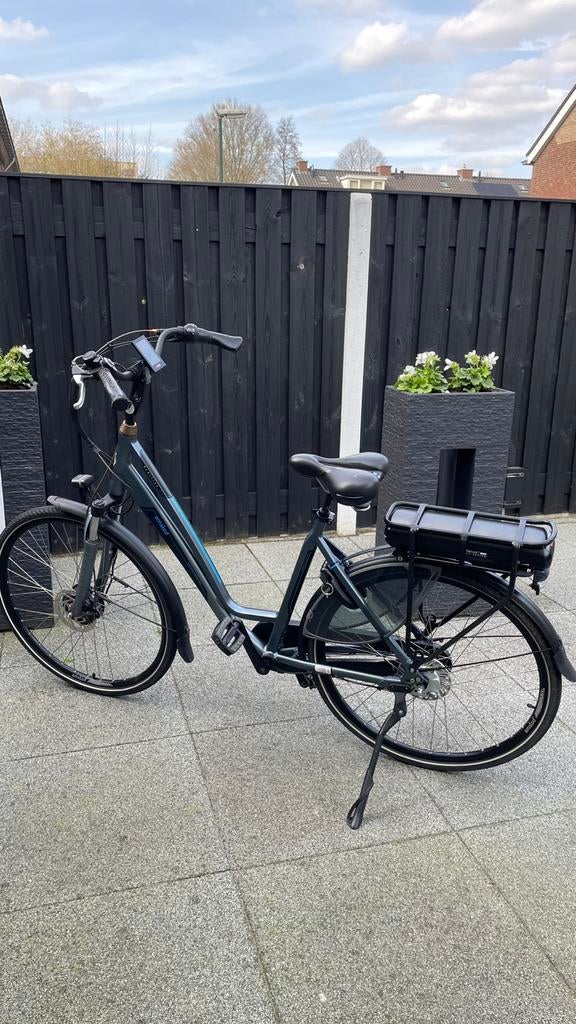 Amslod hamilton in nieuwstaat, 51 tot 55 cm, Ophalen of Verzenden, Zo goed als nieuw, Overige merken