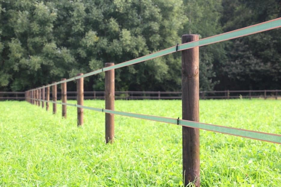 9. Schriklint | lint omheining | paarden afrastering, Weidegang, 4 paarden of pony's of meer