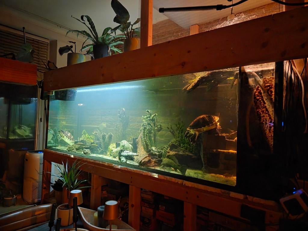 Aquarium 200x70x60 (wordt leeg opgeleverd), Ophalen, Gebruikt, Leeg aquarium