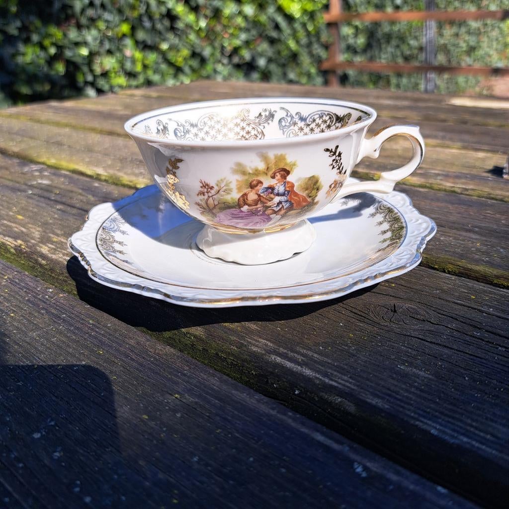 Bavaria Baruther porseleinen kop en schotel, Ophalen