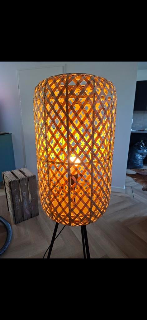Kwantum Rotan staande lamp, Ophalen