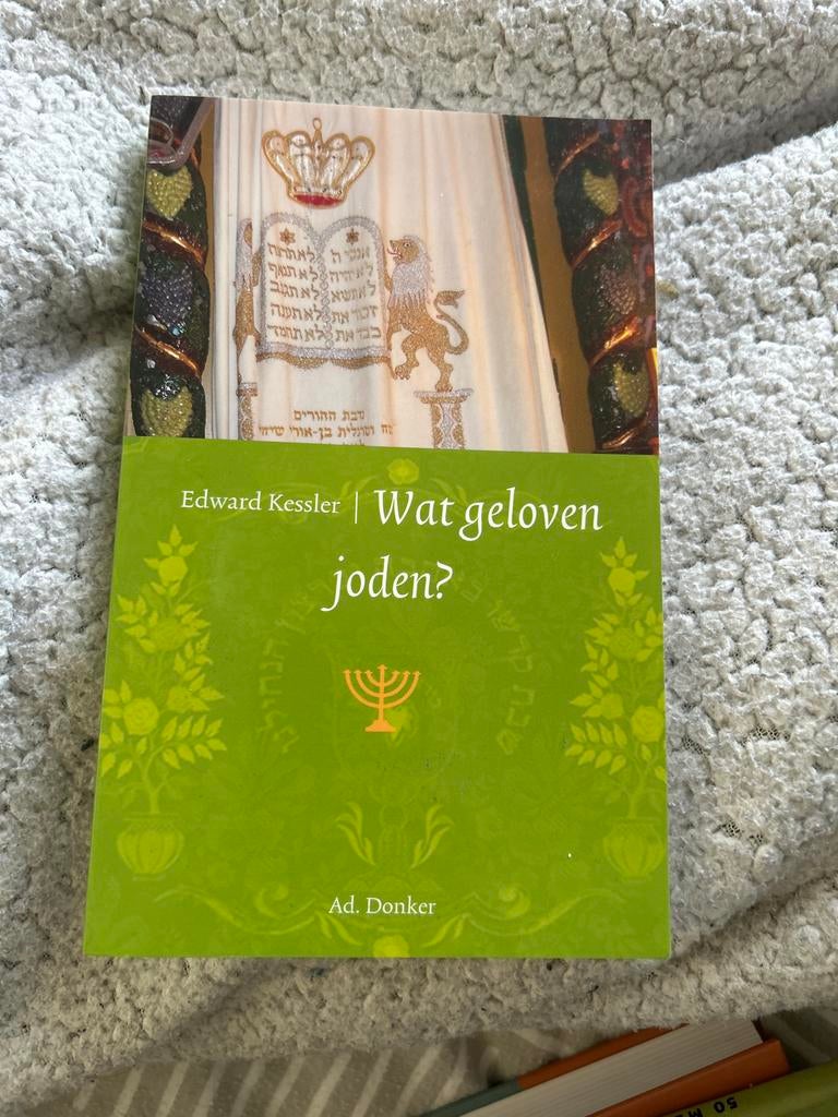 Wat geloven joden? - Edward Kessler, Boeken, Ophalen of Verzenden, Zo goed als nieuw, Jodendom