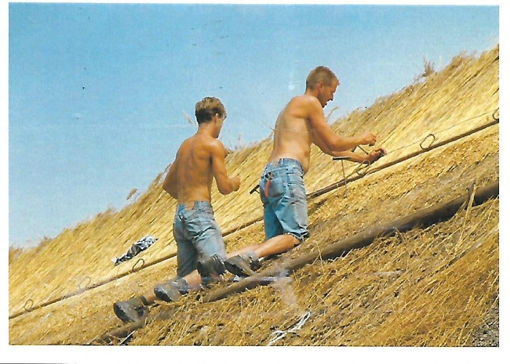 Loon- -Rietdekkers. (ansichtkaart)., Verzenden, 1980 tot heden, Gelopen, Drenthe