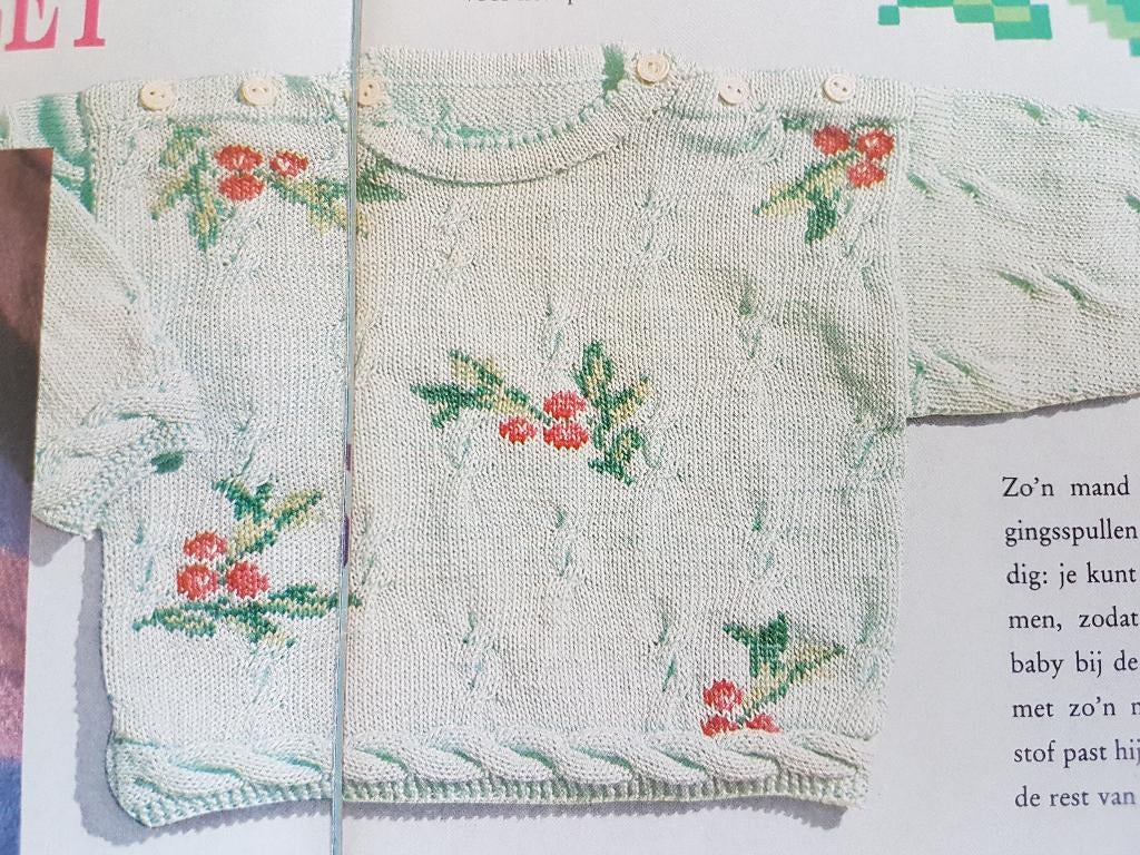 Besjes trui breipatroon, Ophalen of Verzenden, Zo goed als nieuw, Breien, Patroon of Boek