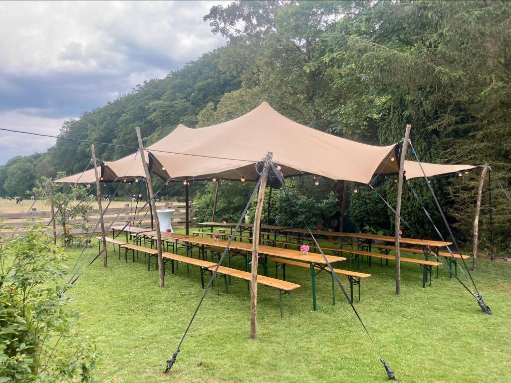 Stretchtent Bedoeïenentent 10 x 6,5m te huur, Tuin en Terras, Partytenten, Ophalen, Opvouwbaar, Overige typen, 6 meter of meer