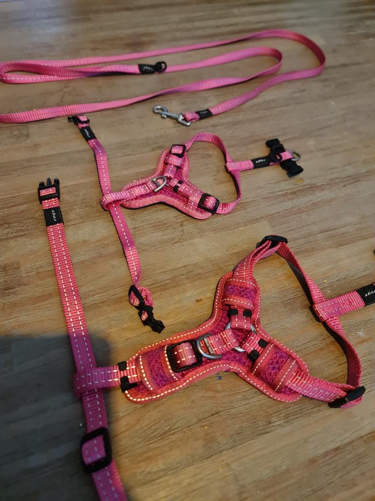 Hondentuigjes merk Rogz. S & m met riem!, Dieren en Toebehoren, Ophalen of Verzenden, Zo goed als nieuw, Hondenriem-accessoire